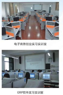 湖南省職業(yè)技術(shù)學(xué)院電子商務(wù)專業(yè)發(fā)展現(xiàn)狀與前景